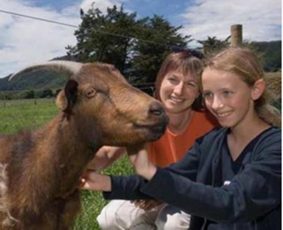 Smiths Farm Holiday Park Linkwater Bagian luar foto